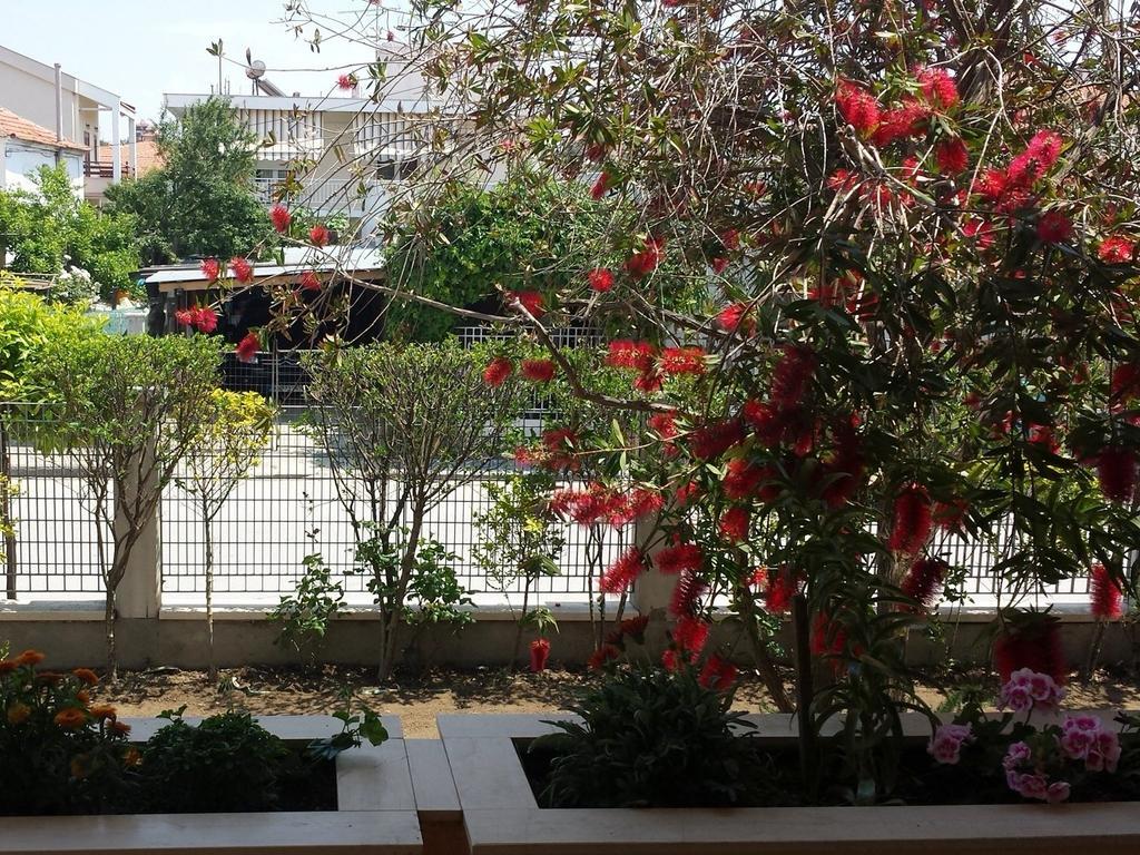 Zach'S House Villa Nea Roda Dış mekan fotoğraf