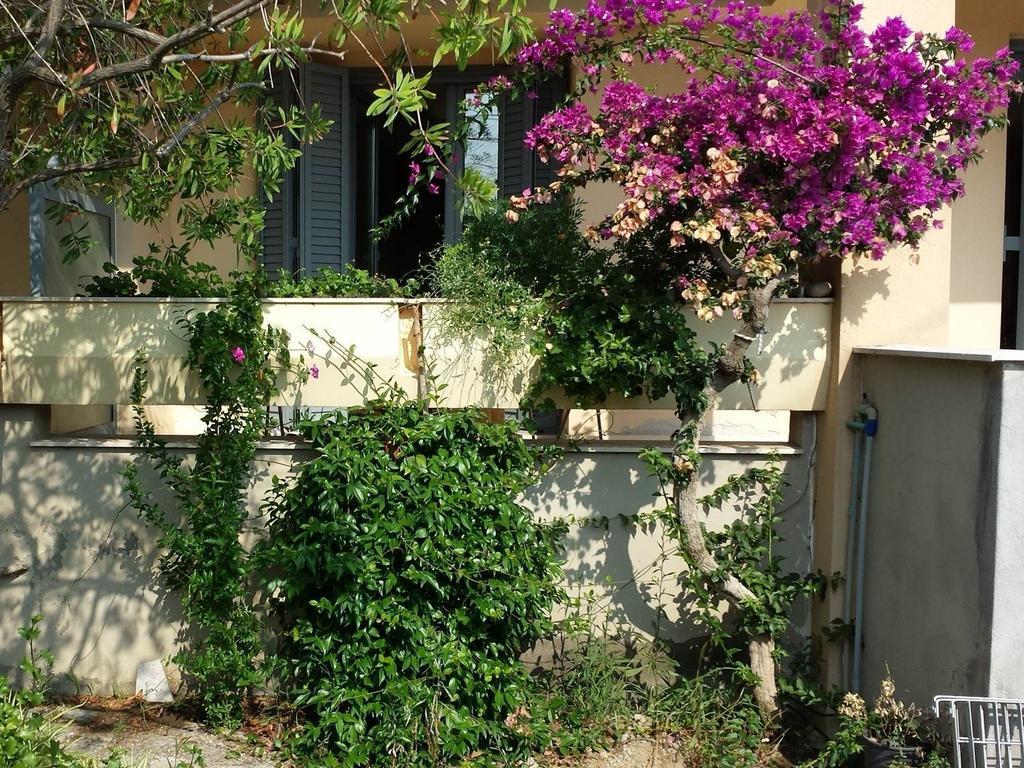Zach'S House Villa Nea Roda Dış mekan fotoğraf